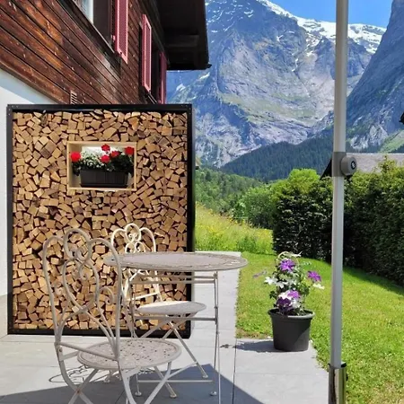 Aelpli By Interhome Apartmán Grindelwald