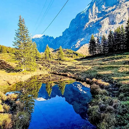 Aelpli By Interhome Apartmán Grindelwald