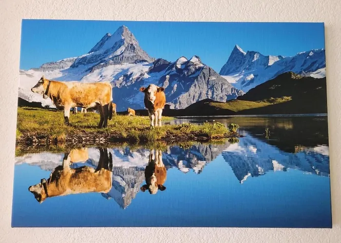 Apartment Aelpli By Interhome *